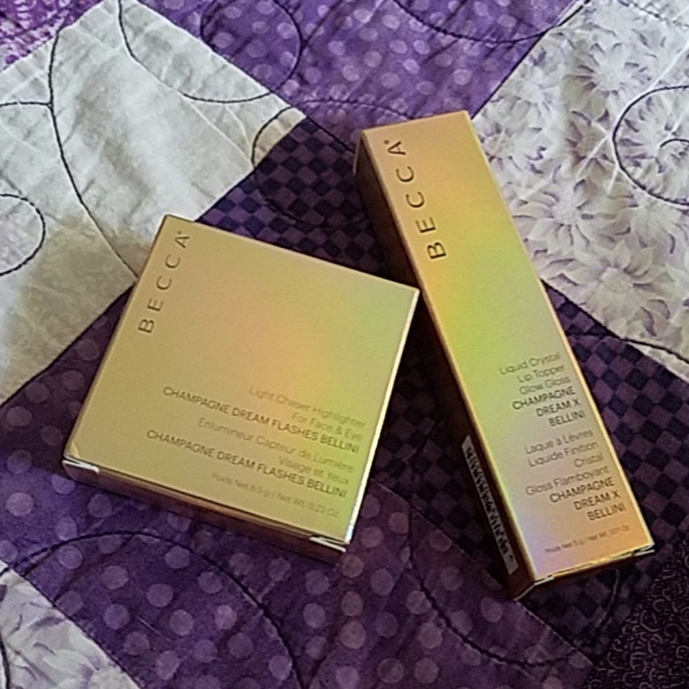 highlighter & lip gloss duo (discontinued)